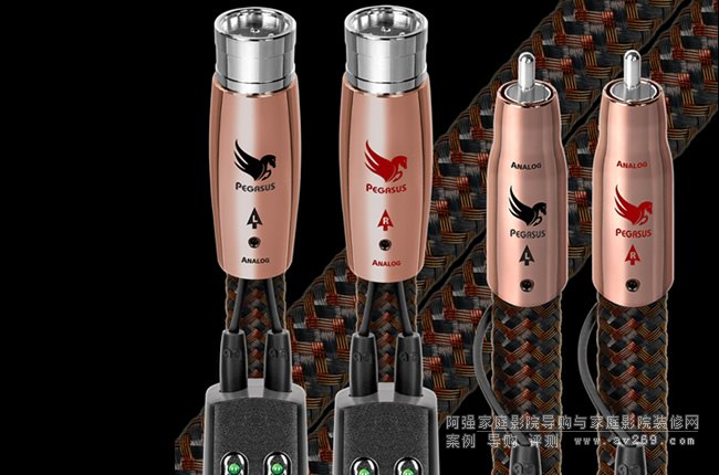 ��ʥ��Fϵ��Pegasus RCA/XLRģ�M���l����B