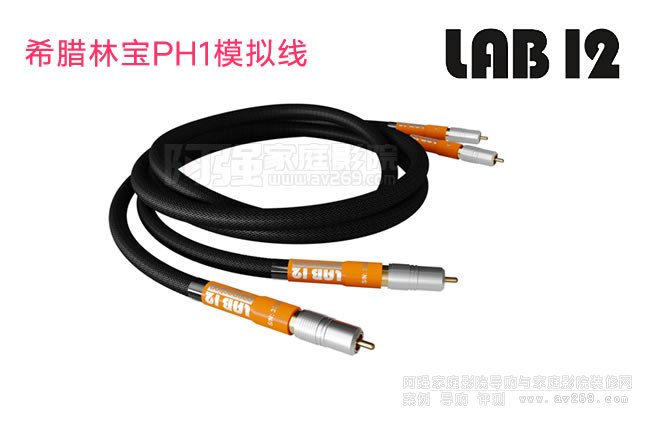 Lab12�֌�PH1ģ�M���C���BRCA��