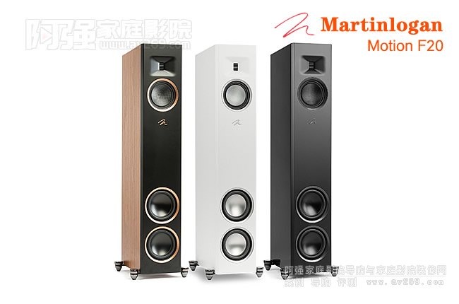 �R���J��Martinlogan Motion F20��������B