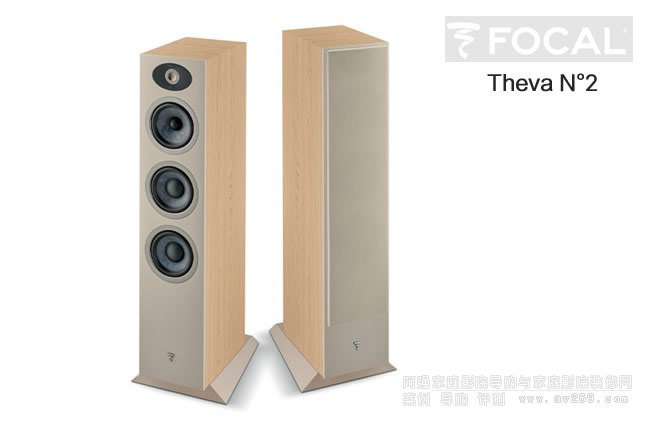 �������˼�ͥӰԺ���ATheva N��2��������B