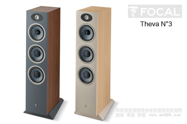 �������˼�ͥӰԺTheva N��3���������