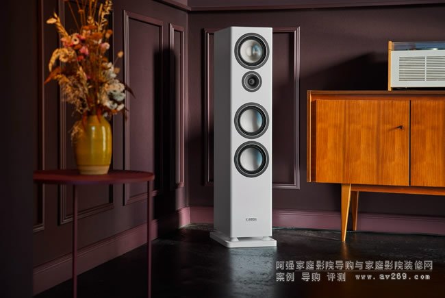 ���Canton Townus 90�����p���ép�����ԃr��