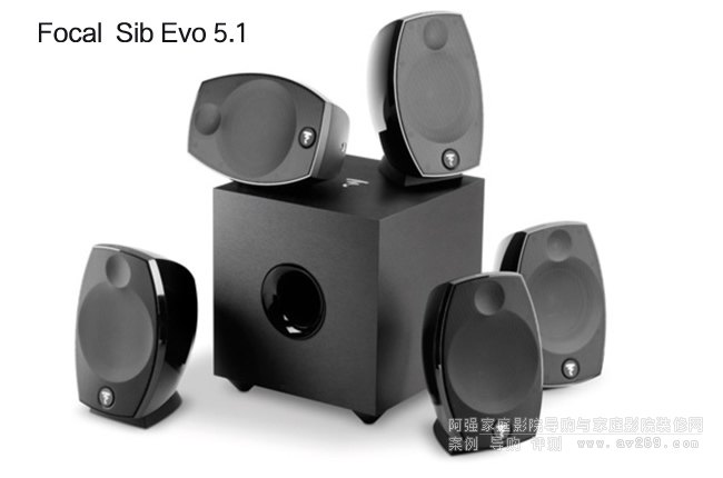 Focal Sib Evo 5.1�l���������b