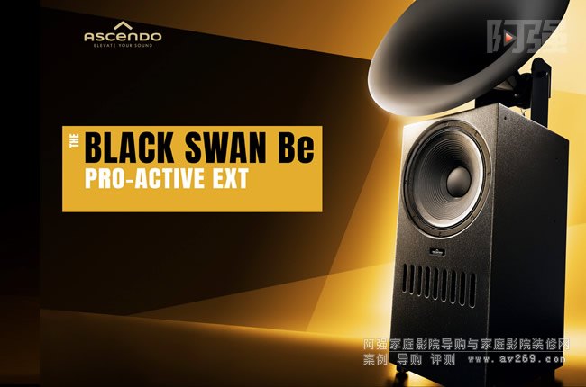 ��˹�DTHE BLACK SWAN Be ACTIVE EXT