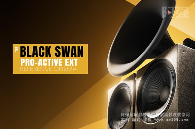��˹�D��Ş̖������THE BLACK SWAN ACTIVE EXT RC