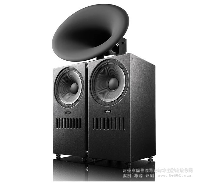 ��˹�D��Ş̖(h��o)������THE BLACK SWAN ACTIVE EXT RC