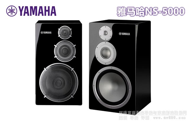 ���R��NS-5000 [��ŞHi-Fi����]